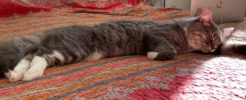 Feldenkrais Blog - Gesundheit