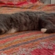 Feldenkrais Blog - Gesundheit