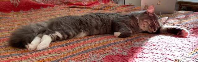 Feldenkrais Blog - Gesundheit
