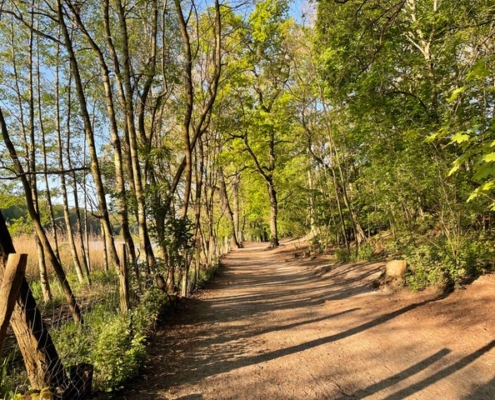 Feldenkrais Blog - Magische Momente