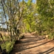 Feldenkrais Blog - Magische Momente