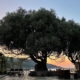 Feldenkrais Blog - Mal was anderes