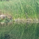 Feldenkrais Blog - Herbst