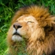 Feldenkrais Blog - Was ist richtig