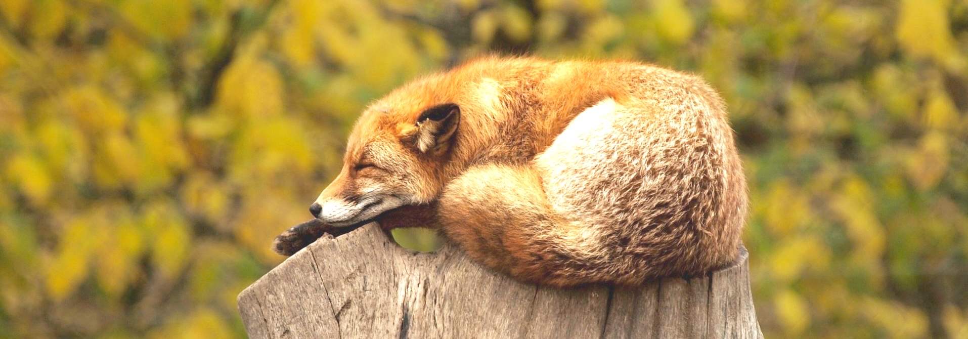 Feldenkrais-blog_11_2025 - PROAKTIV Feldenkrais Blog - PROAKTIV