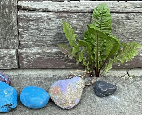 Feldenkrais Blog - DEN EIGENEN BODEN SPÜREN