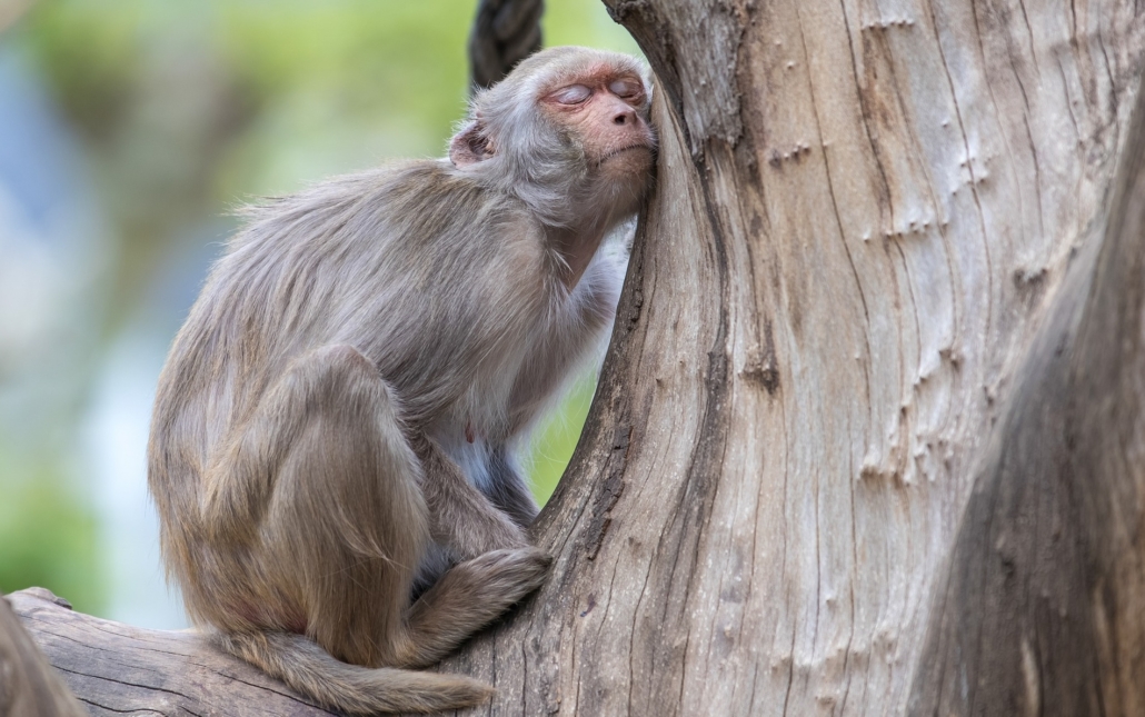 Feldenkrais Blog - ENTSPANNUNG