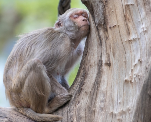 Feldenkrais Blog - ENTSPANNUNG